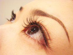 まつげエクステ・アイラッシュ 大阪　眉毛　ヨガ教室　岸和田　TOKIWA美容室